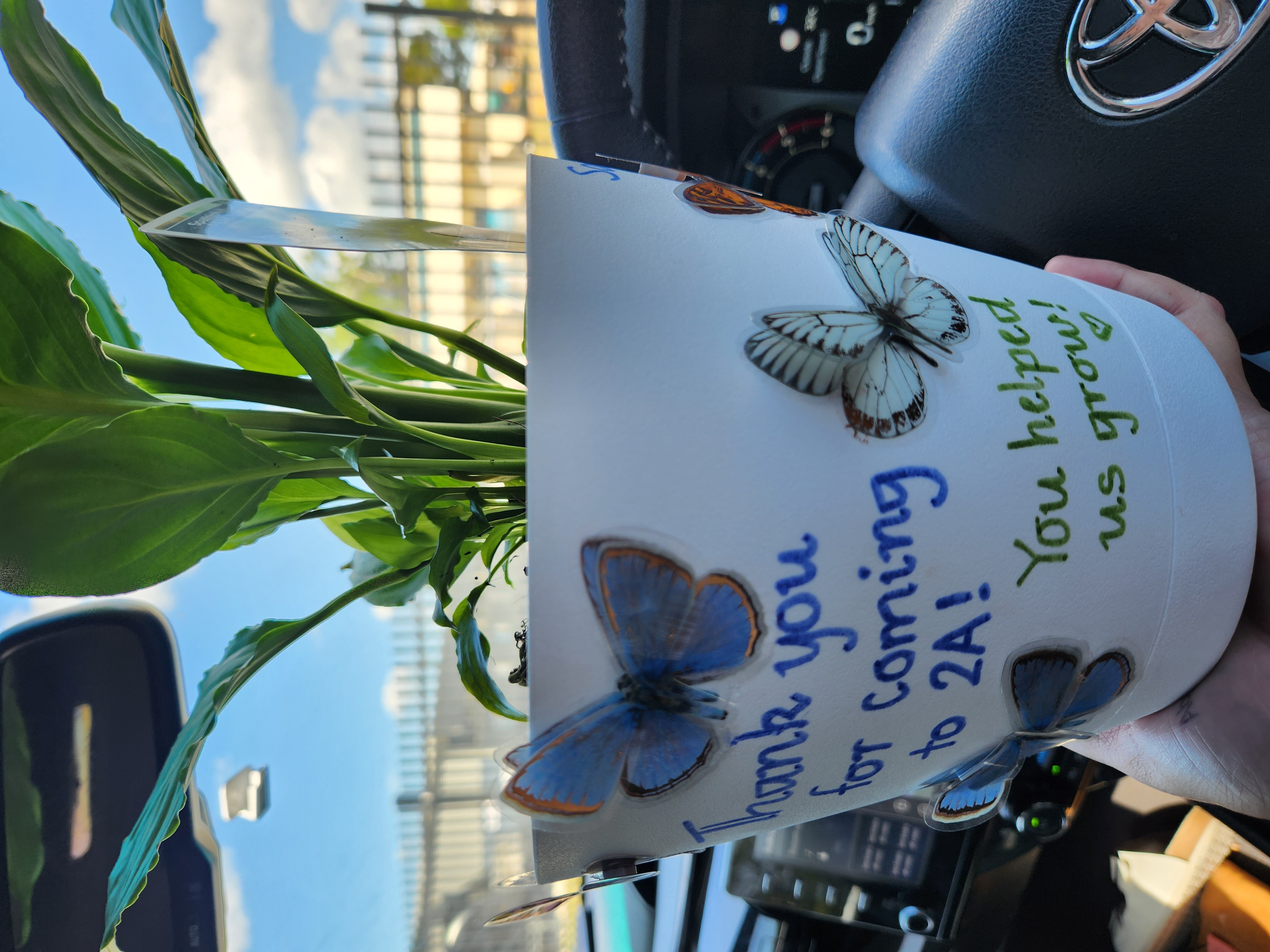 Photo of a potted plant with butterfly stickers and the words 'Thank you for coming to 2A! You helped us grow!'
