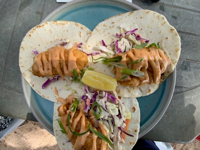 Three fish tacos with shredded red and white cabbage, a creamy orange sauce, and a lemon wedge are arranged on a light blue plate.