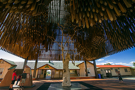 BARCALDINE, QUEENSLAND / AUSTRALIA: AUGUST 2014 - The Tree of Knowledge Memorial in the outback Queensland town of Barcaldine is a modern-day monument to the 1891 Australian shearer's strike.